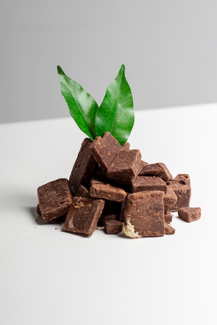Dark Chocolate Apple Fudge vertical